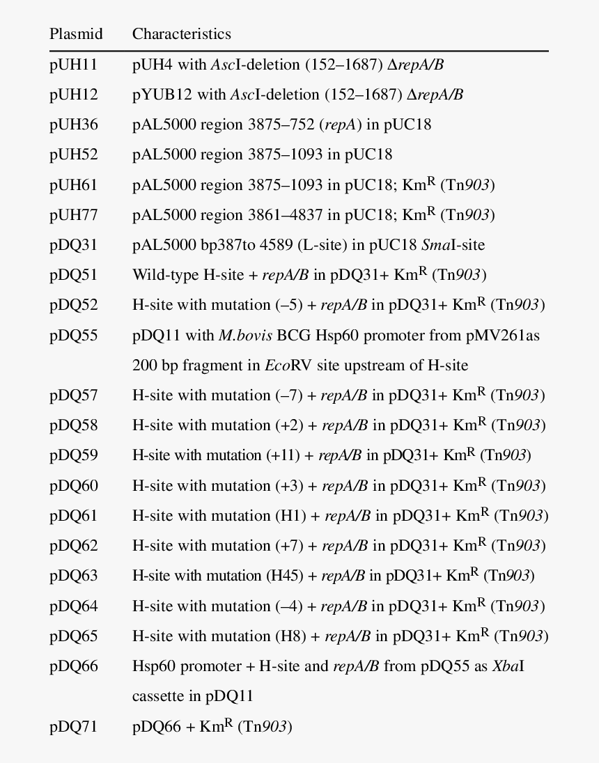 Document, HD Png Download