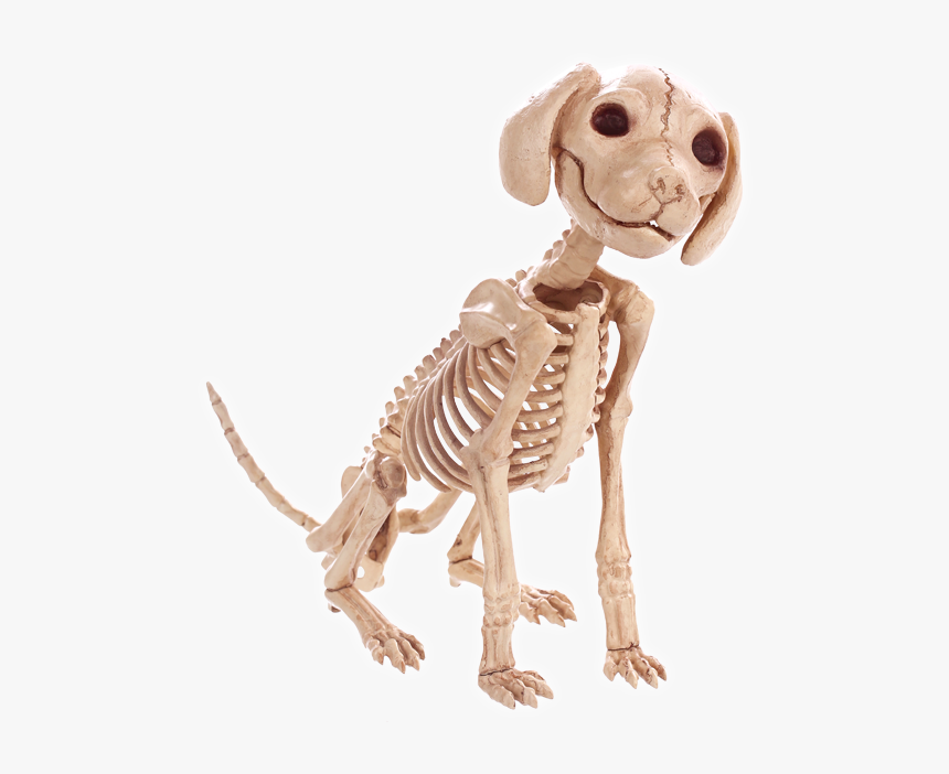Skeleton Dog, HD Png Download
