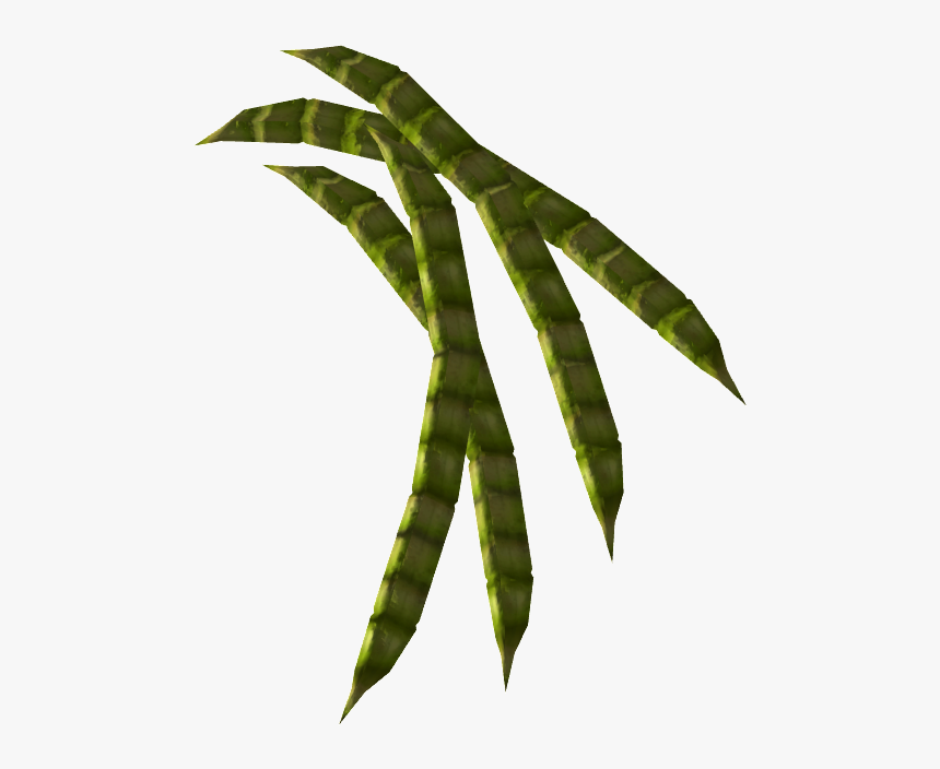 Honeymesquitepod-nobg - Mesquite Beans Png, Transparent Png