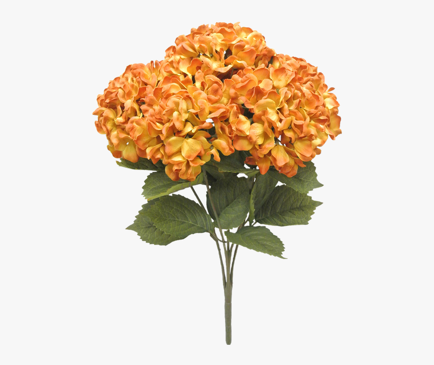 20 - Orange Hydrangea Png, Transparent Png