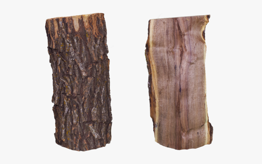 Mesquite11frontandback - Lumber, HD Png Download