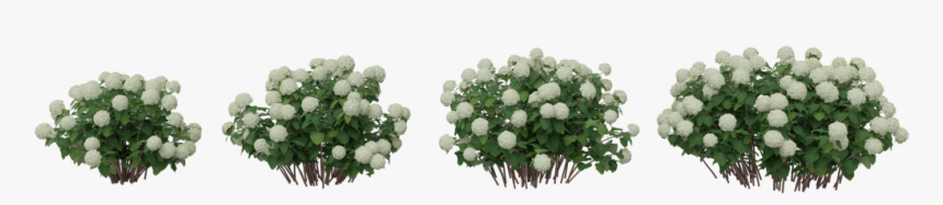 Artificial Flower, HD Png Download