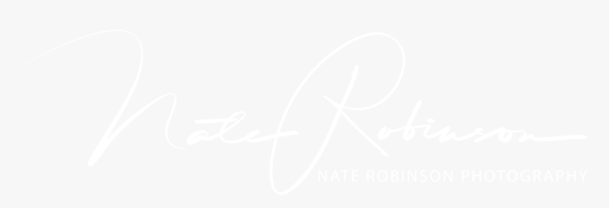 Nate Robinson White Hires, HD Png Download