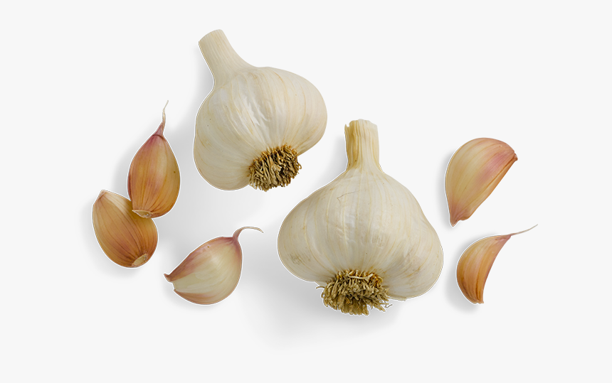 Garlic, Sweet Italian Sausage Vermont Smoke Cure - Garlic Clove No Background, HD Png Download