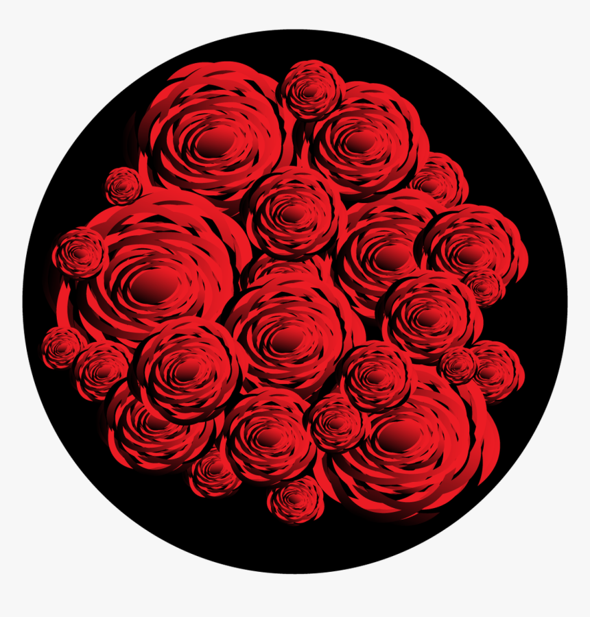 Garden Roses, HD Png Download