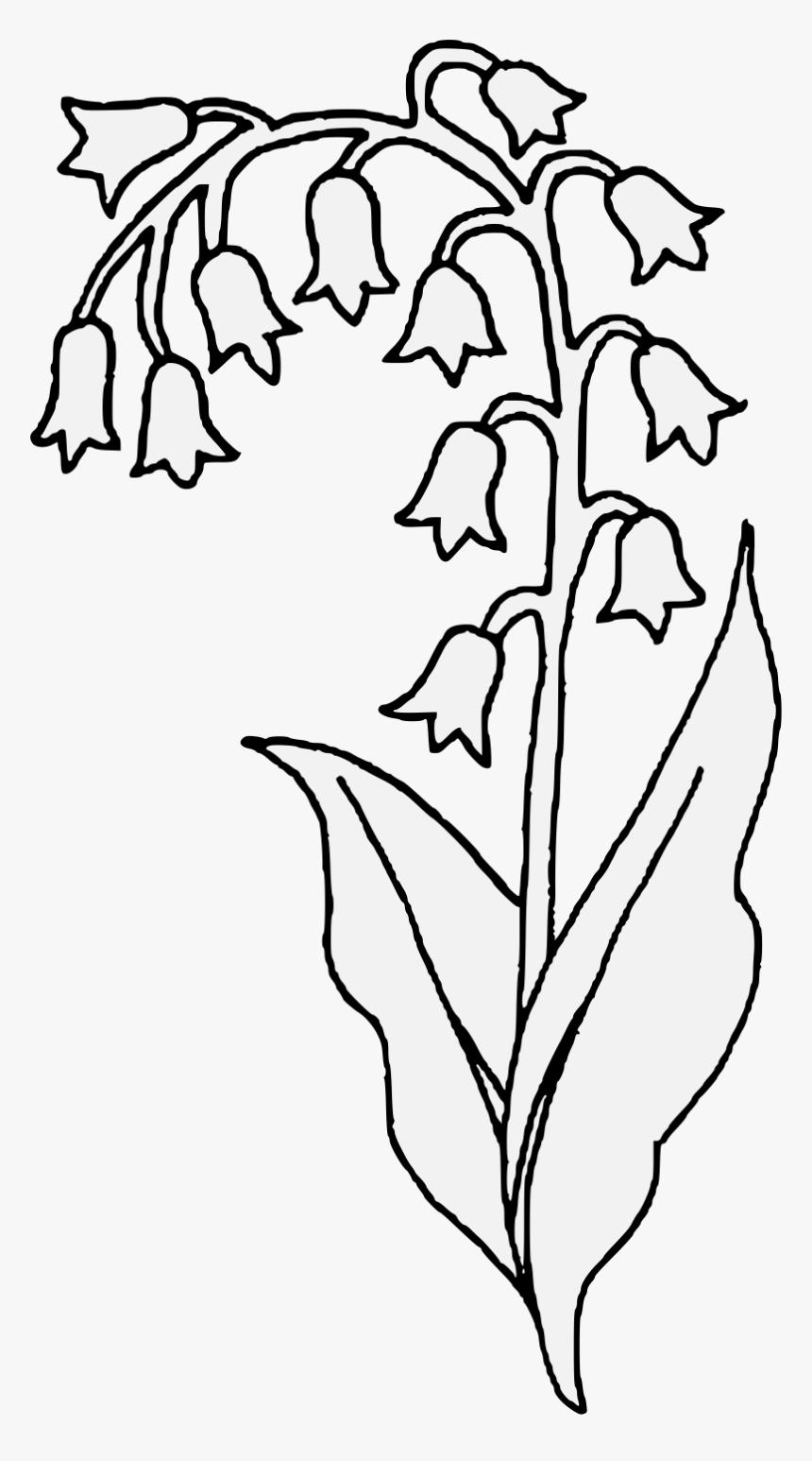 Lily Of The Valley Flower Clipart, HD Png Download