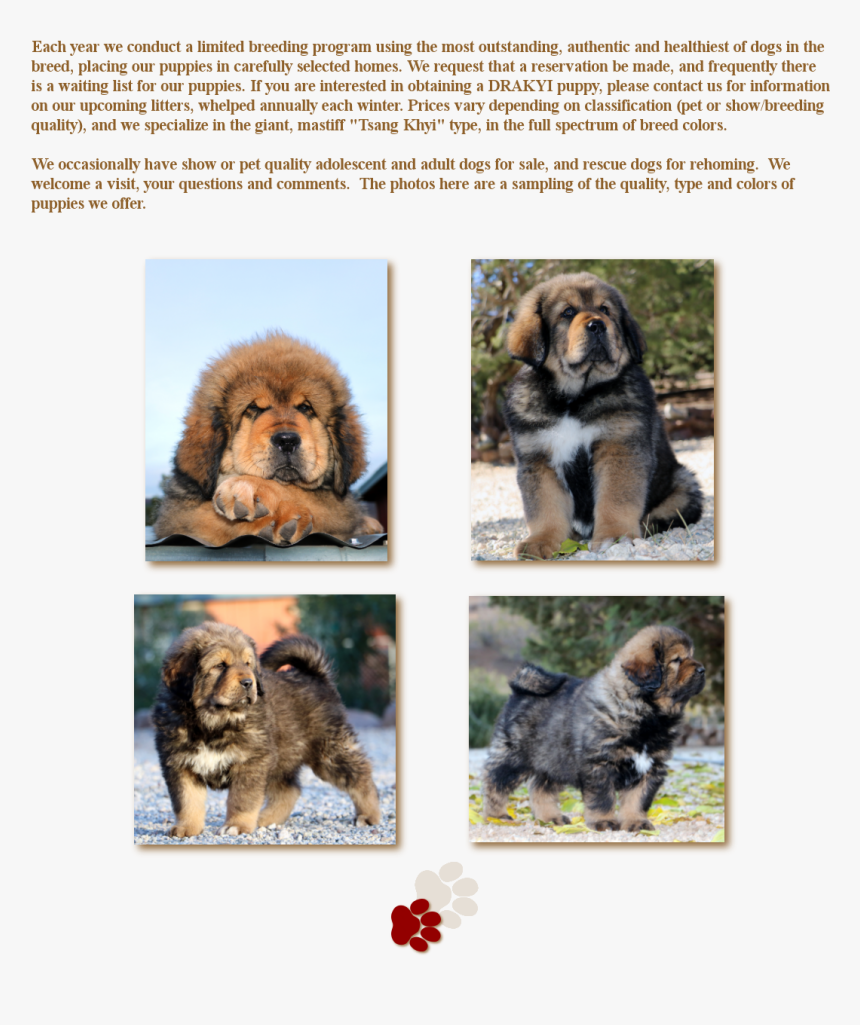 Ancient Dog Breeds, HD Png Download