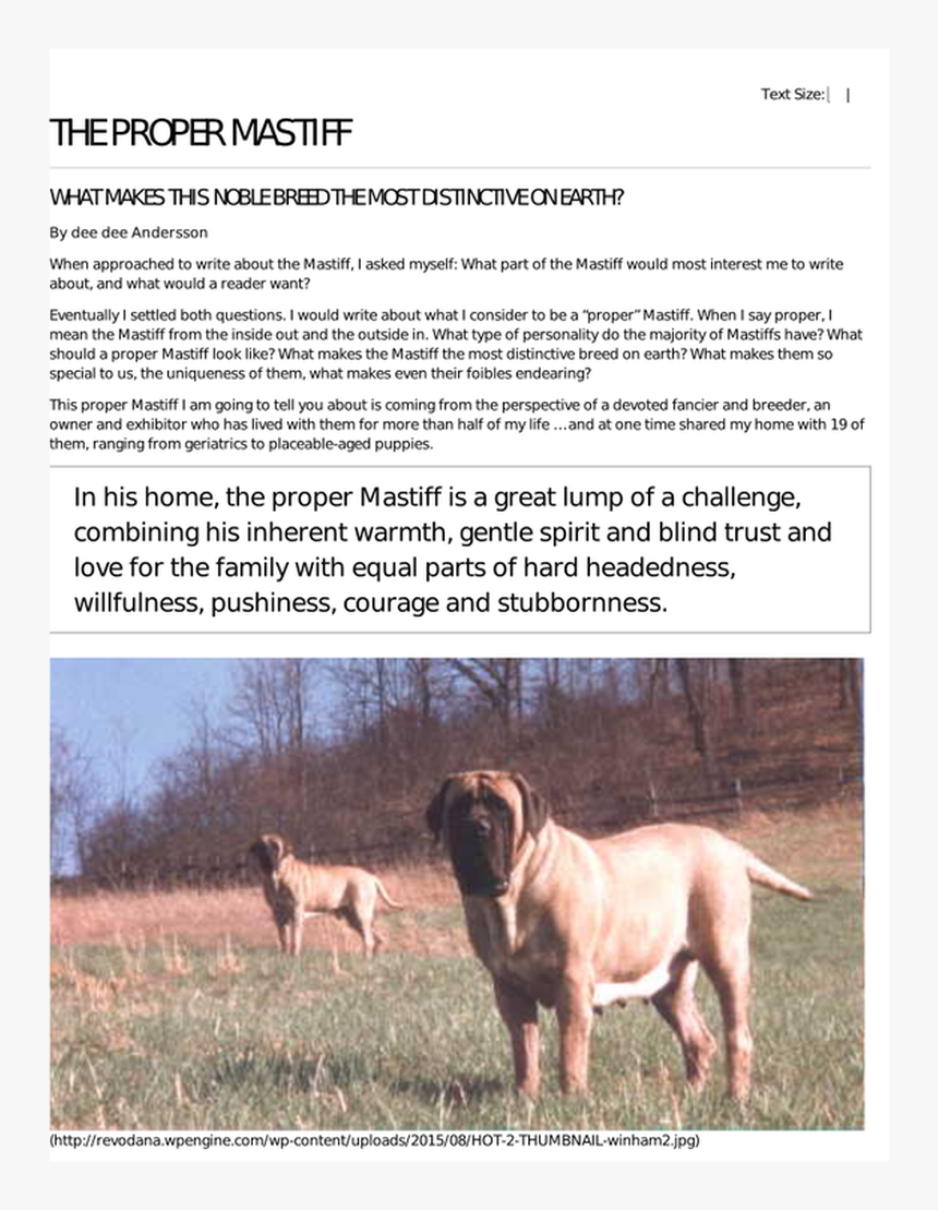 Ancient Dog Breeds, HD Png Download