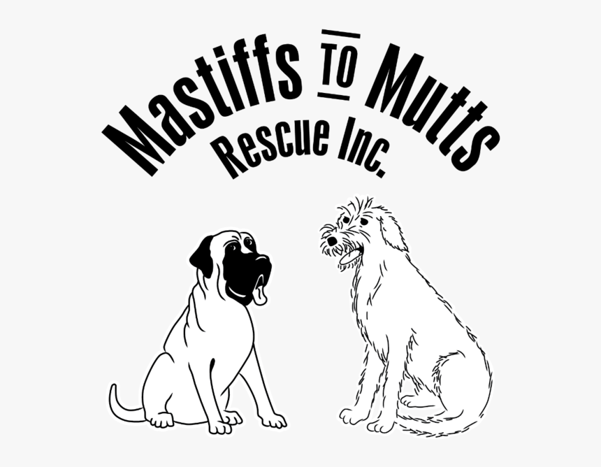 Dog Yawns, HD Png Download