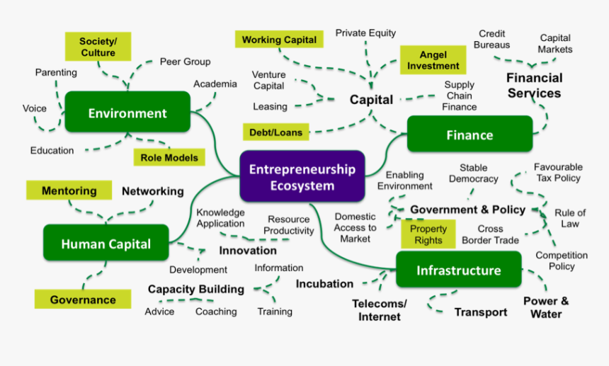 Transparent Mowgli Png - Difference Between Coaching Vs Mentoring, Png Download