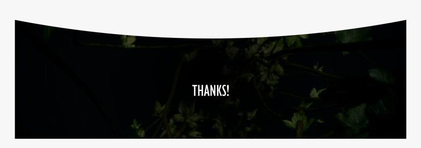 Transparent Mowgli Png - Tree, Png Download