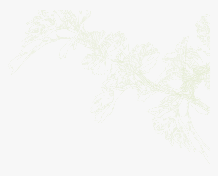 Drawing, HD Png Download