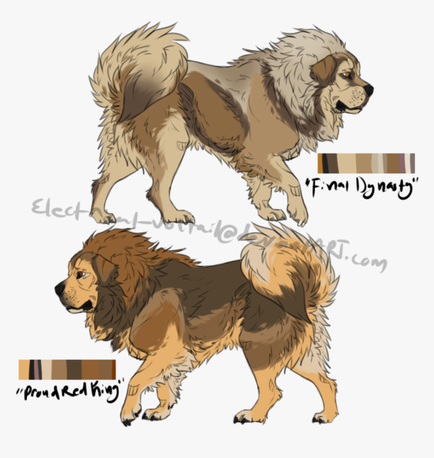 Tibetan Mastiff Drawing, HD Png Download