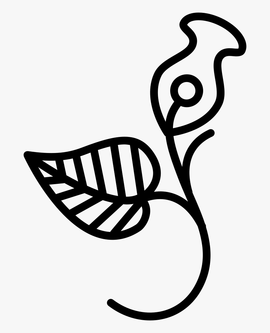 One Flower And One Leaf On A Branch - One By One Leaf Designs, HD Png Download