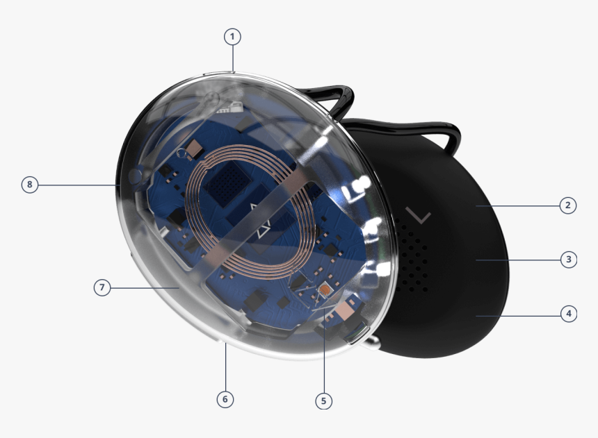 Japanese Fan Png, Transparent Png