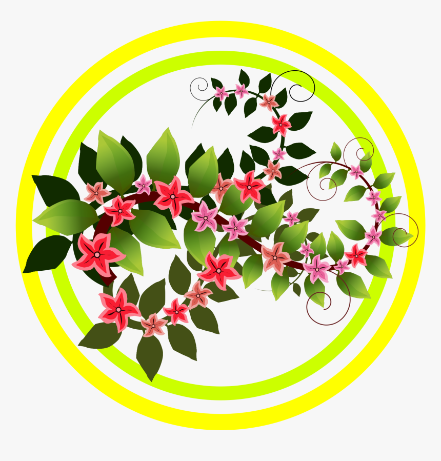 Transparent Flower Branch Png - Rosa Glauca, Png Download