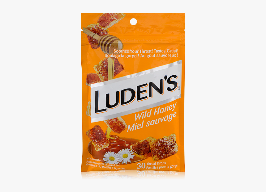 Bring Me The Horizon Ludens, HD Png Download