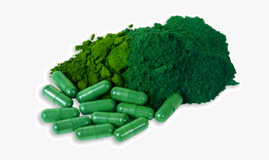 Klamath Lake Blue Green Algae In Powder - Klamath Algae, HD Png Download