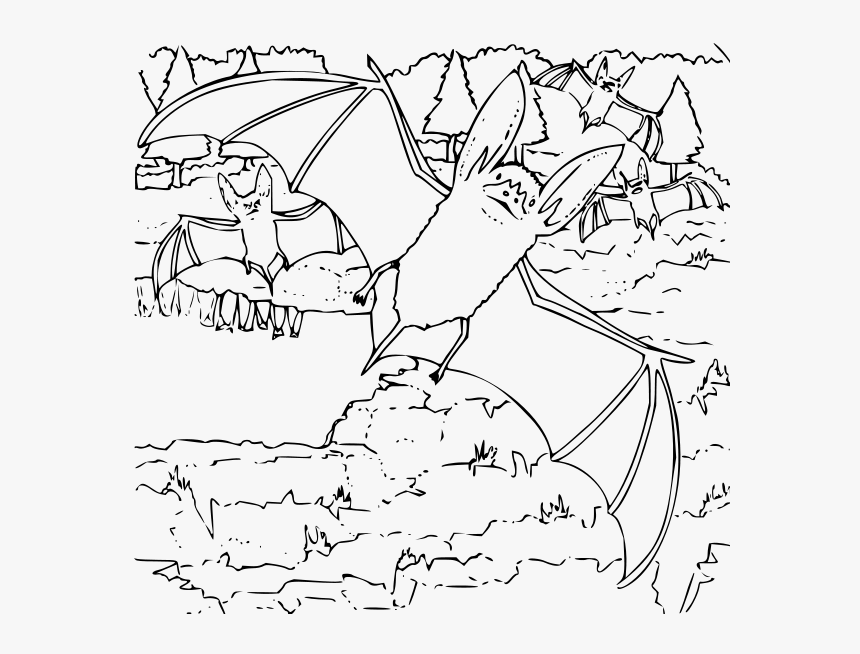Coloring Book Ozark Big Eared Bat Png Clip Arts - Big Eared Bat Coloring Pages, Transparent Png