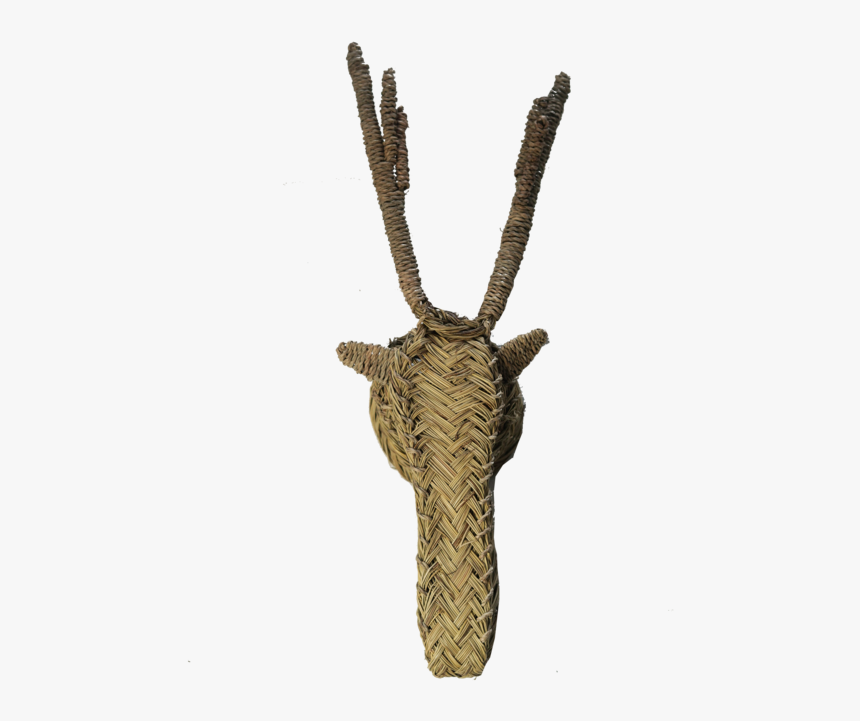 Antelope, HD Png Download