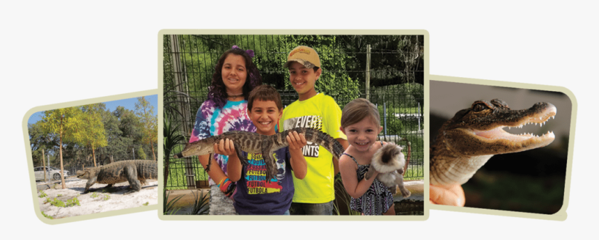 Fun, HD Png Download