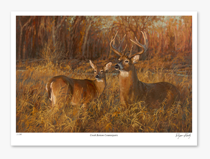 Ryan Kirby Creek Bottom Counterparts Nwtf Paper Print - Antler, HD Png Download