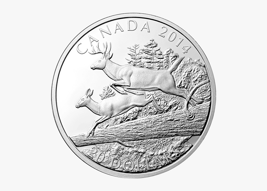 Quarter, HD Png Download