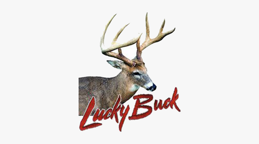 Brand10 - Elk, HD Png Download