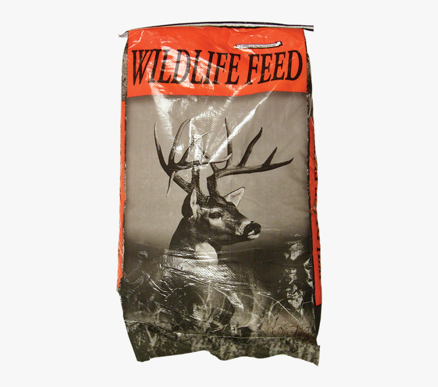 Elk, HD Png Download