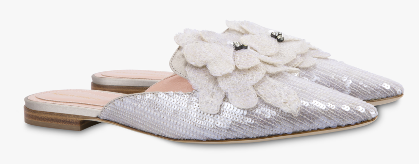 Alligator, HD Png Download