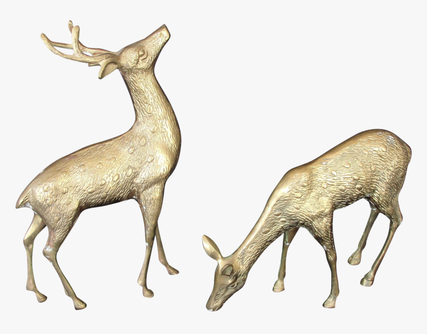 Clip Art Decorative Deer - White-tailed Deer, HD Png Download
