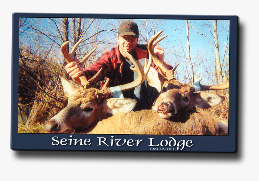 Trophy Hunting, HD Png Download