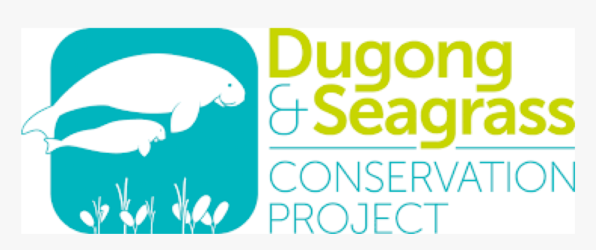 Whale, HD Png Download