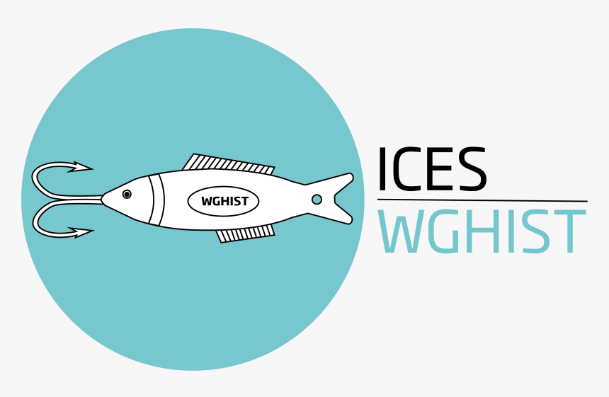 Transparent Seagrass Png - Pull Fish Out Of Water, Png Download