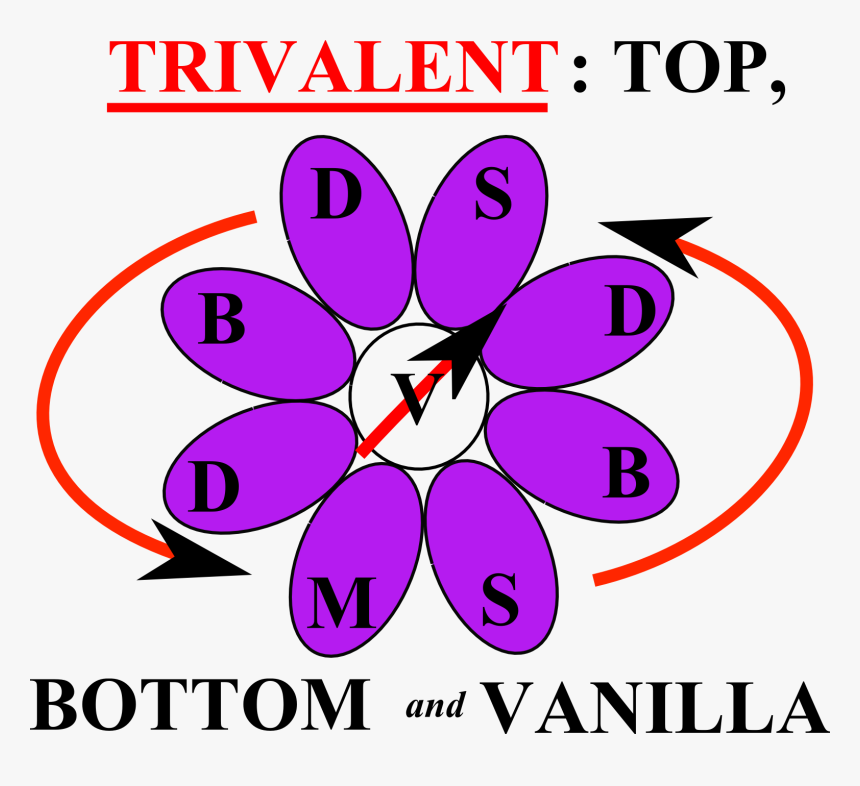 Cool Sculpting On Back, HD Png Download