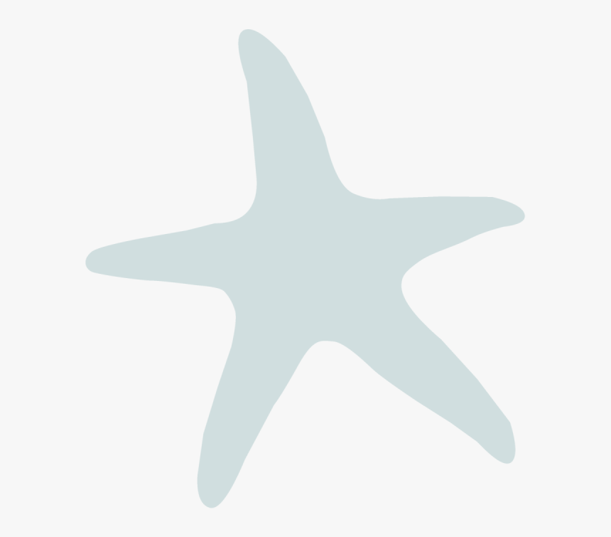 Starfish, HD Png Download