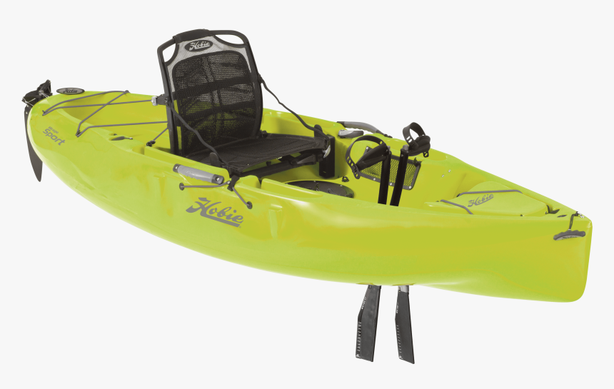 Seagrass Png, Transparent Png