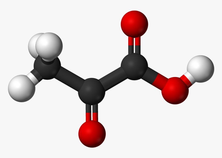 Archivo - Pyruvic Ac - Pyruvic Acids, HD Png Download