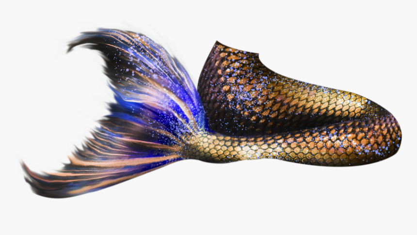 Close-up, HD Png Download
