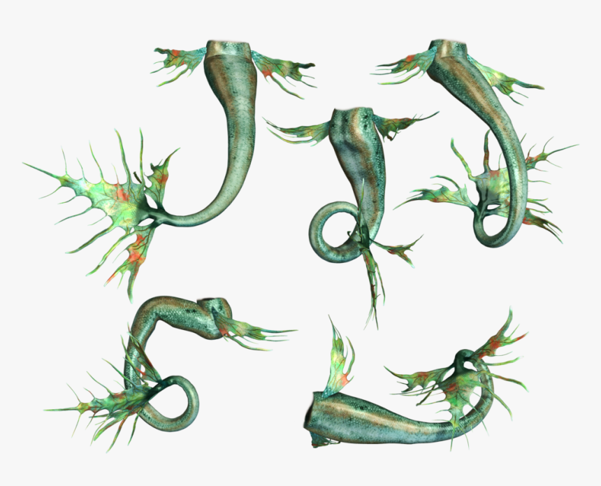 Mermaid Fin, Mermaid Tails, Scrap, Image, Gift Cards, - Portable Network Graphics, HD Png Download