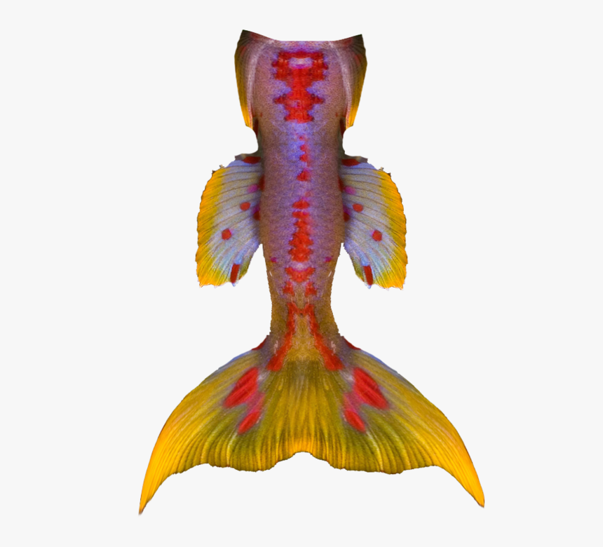 Free To Use Vintage Mermaid Tails - Illustration, HD Png Download