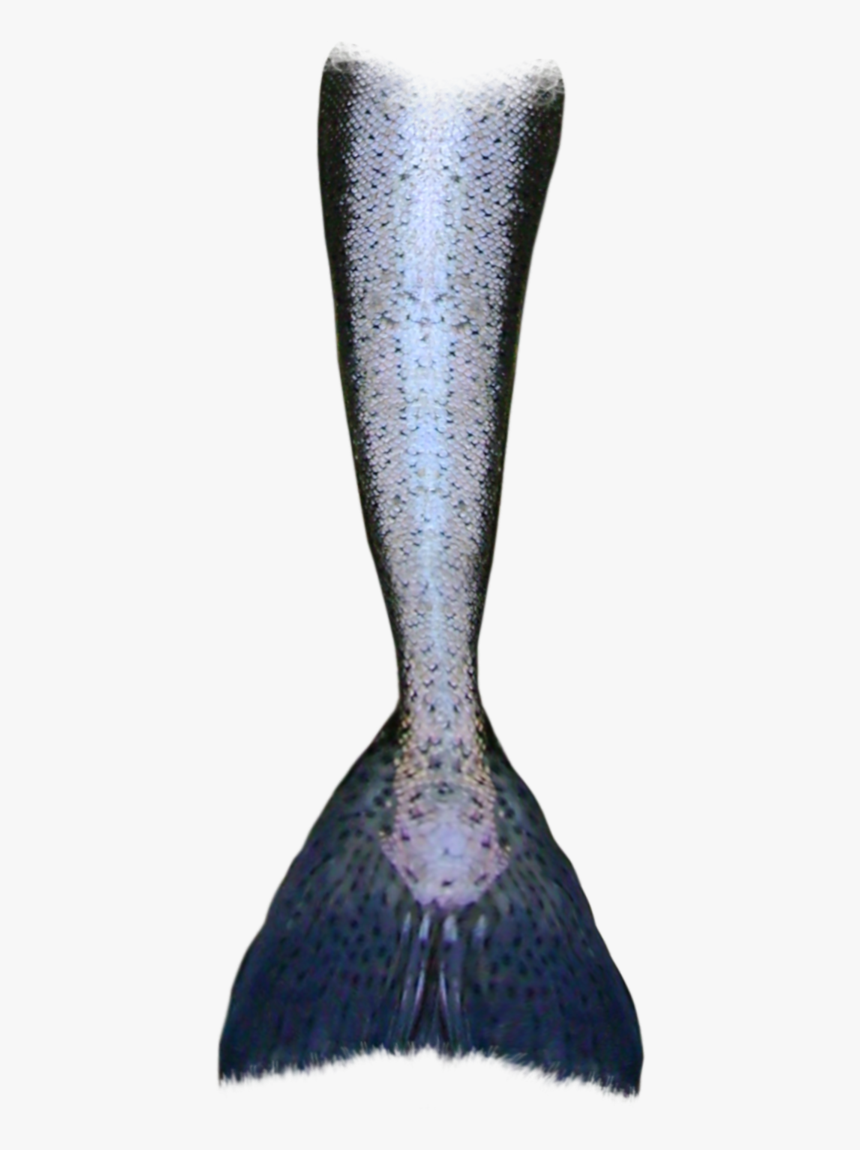 Mermaid Tail Clipart Tumblr Transparent - Transparent Mermaid Tail Drawing, HD Png Download