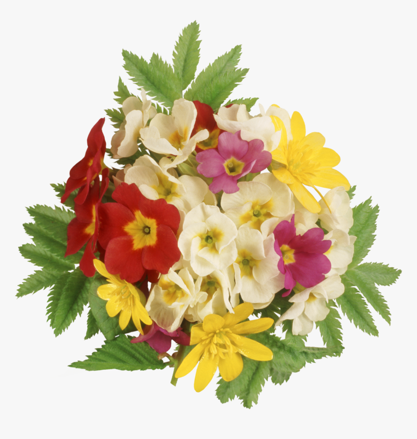Png Букеты, Transparent Png