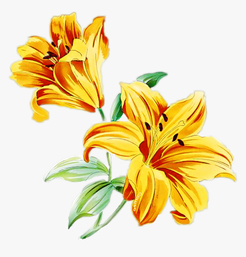Flower Flowerbranch Flowercrown Rosesarebeautiful Yello - Watercolor Yellow Flower Png, Transparent Png