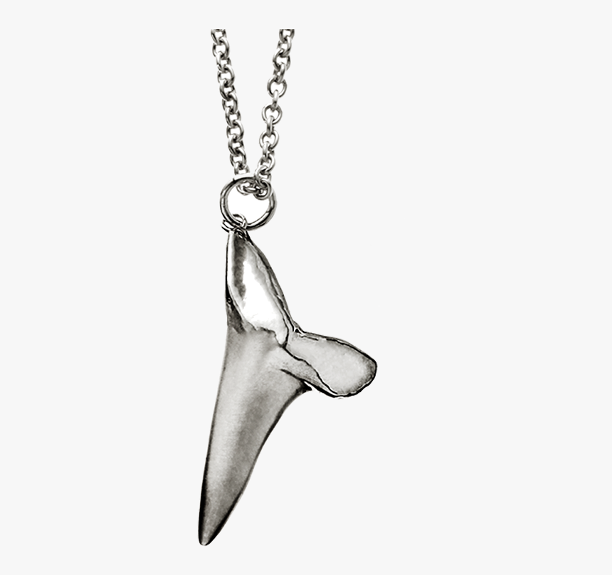 P Sharktooth Pendant Side New Y V2 Newest Ss - Necklace, HD Png Download