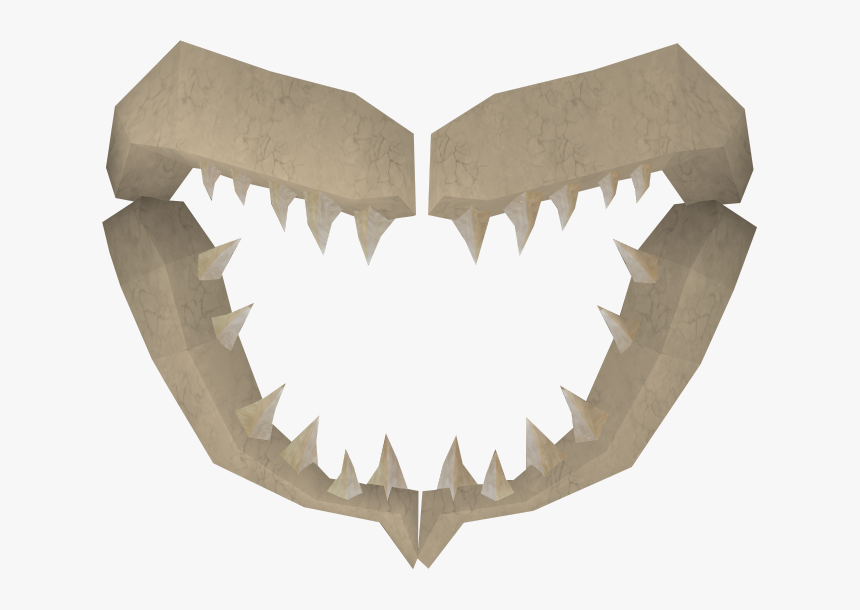 Shark Jawbone, HD Png Download