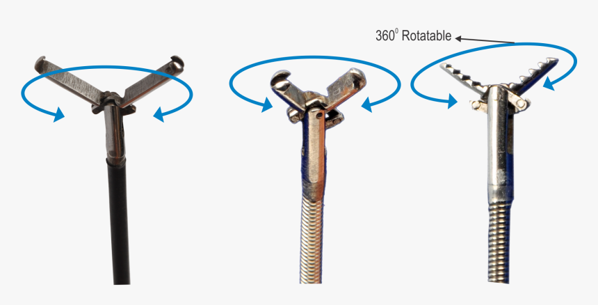 Rat Tooth Alligator Forceps, HD Png Download