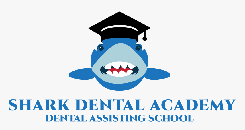 Great White Shark, HD Png Download