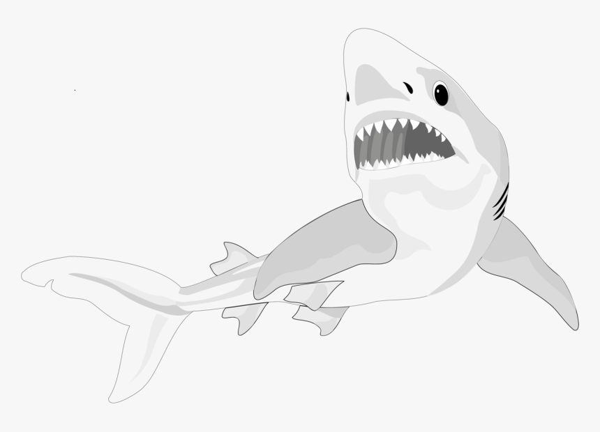 Fish Shark Clipart Nine - Portable Network Graphics, HD Png Download