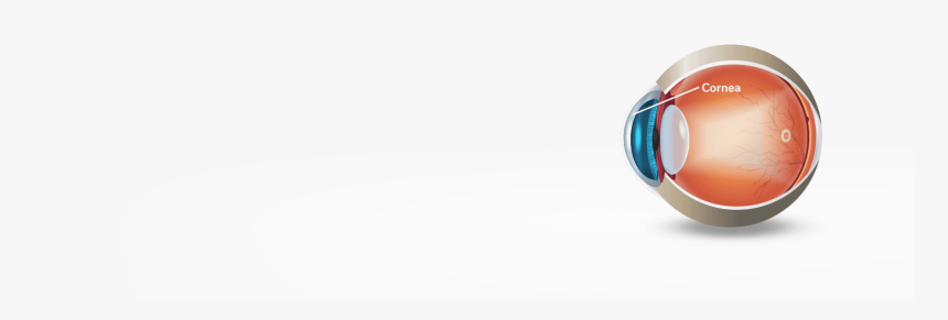 Illustration Of An Eye And A Donor Cornea - Circle, HD Png Download